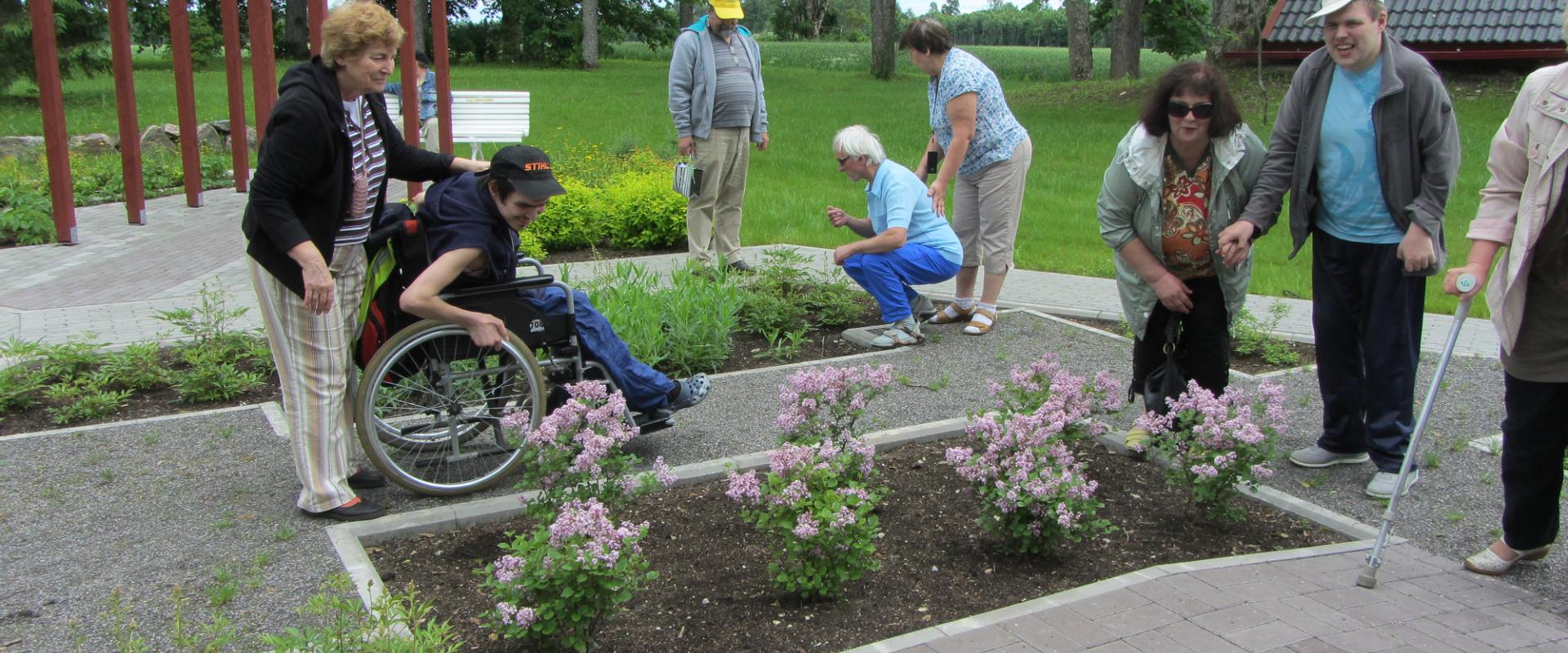 Wheelchair hike in the forest park