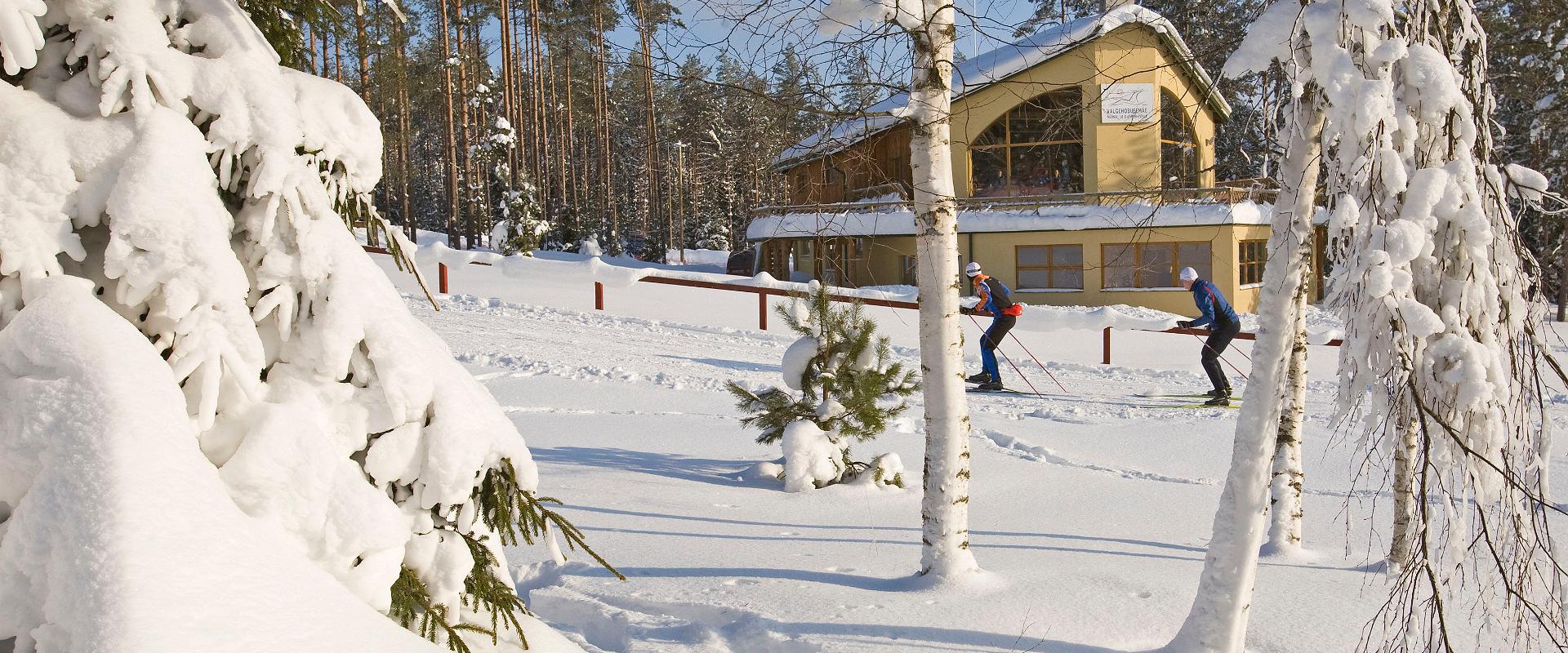 Snowtubing at Valgehobusemägi