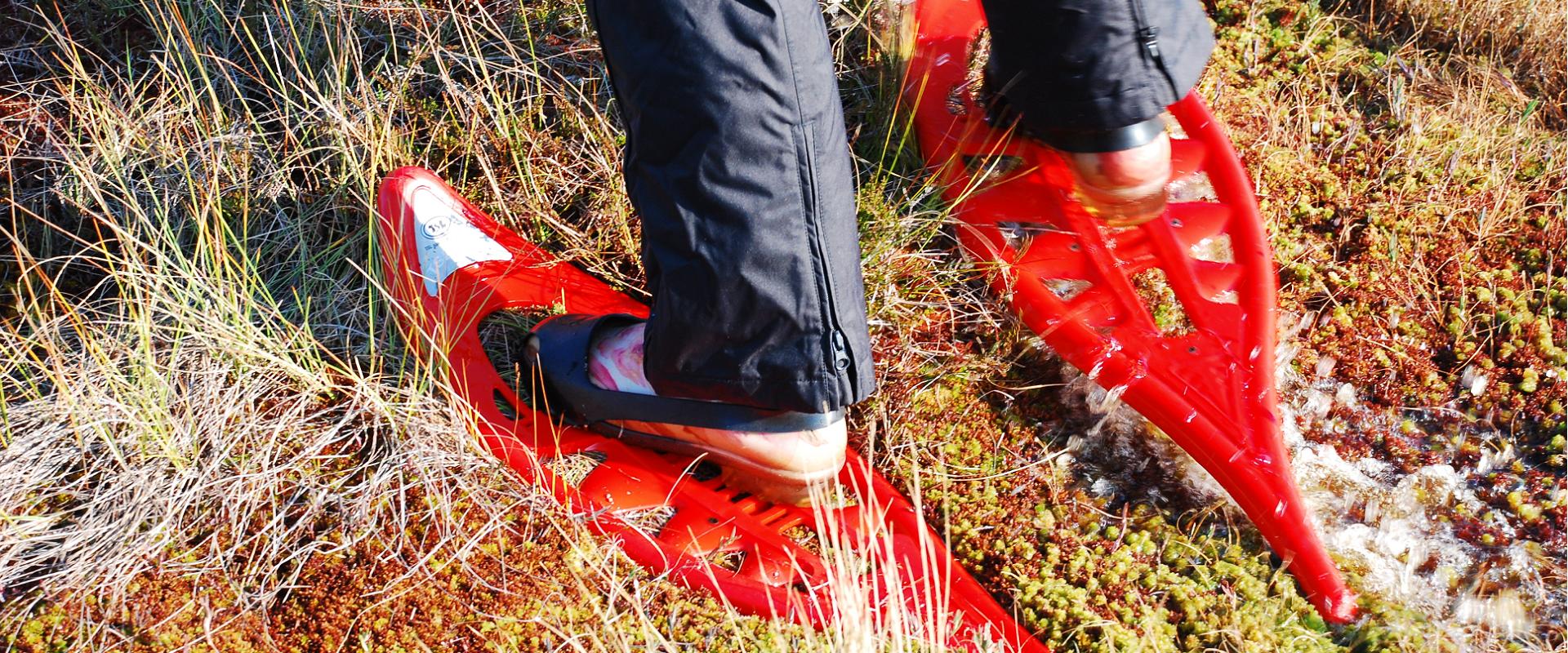 "Seikle vabaks" Moorschuhwanderung im Moor Lindi