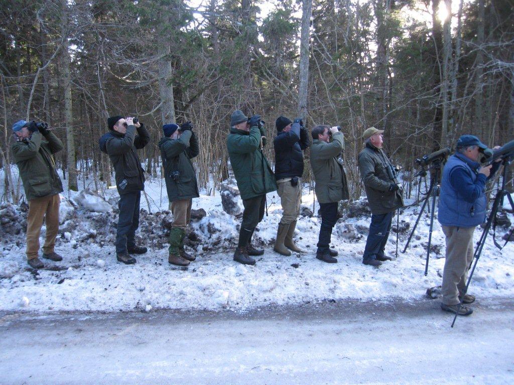 Vogelbeobachtung mit Estonian Nature Tours