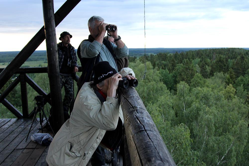 Vogelbeobachtung mit Estonian Nature Tours