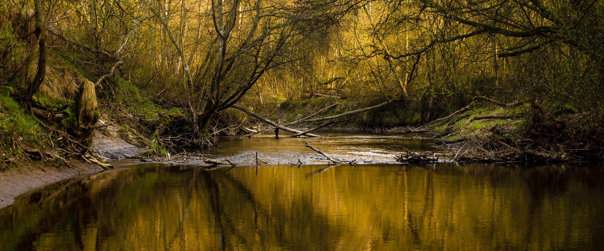 Daytour to Nature around Tallinn