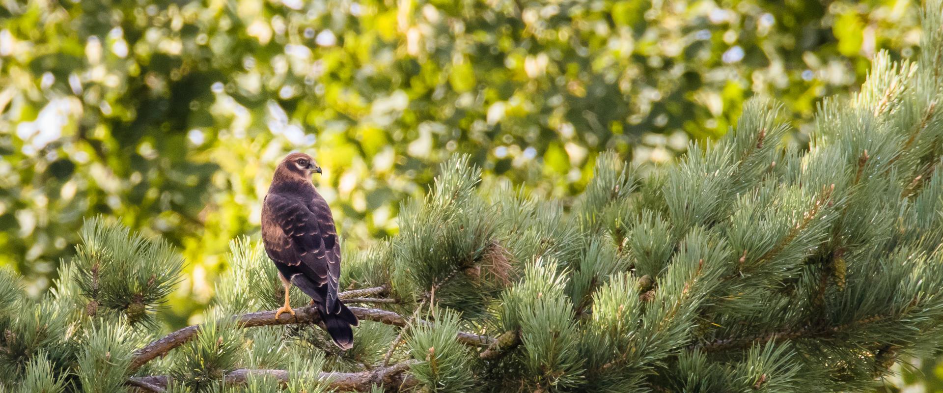 Daytour to Nature around Tallinn