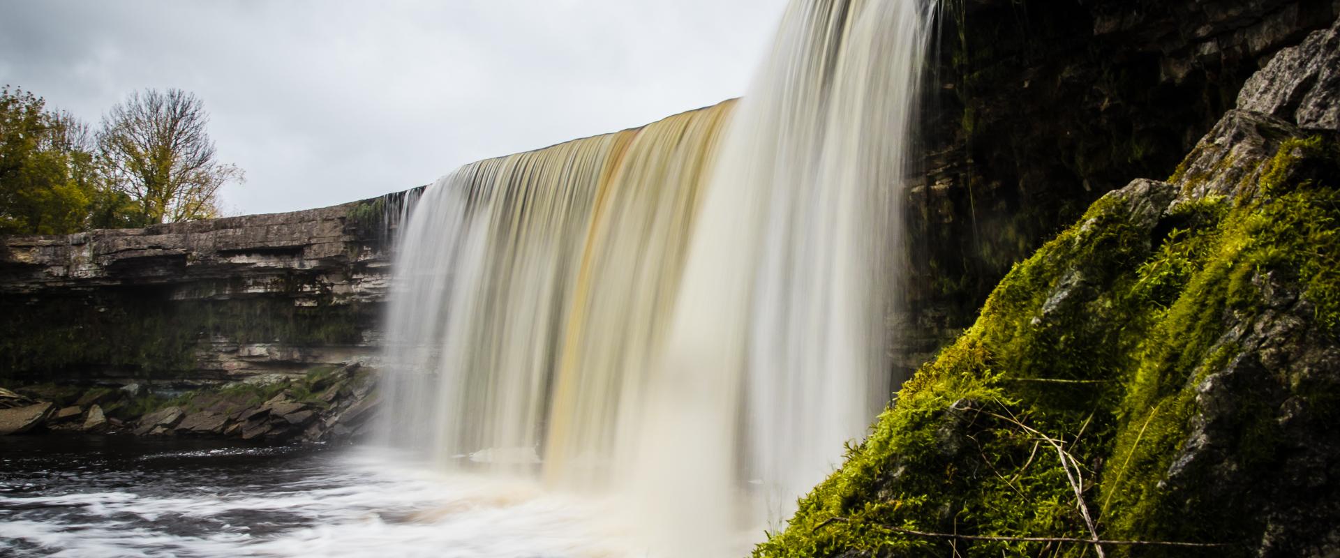 Daytour to Nature around Tallinn