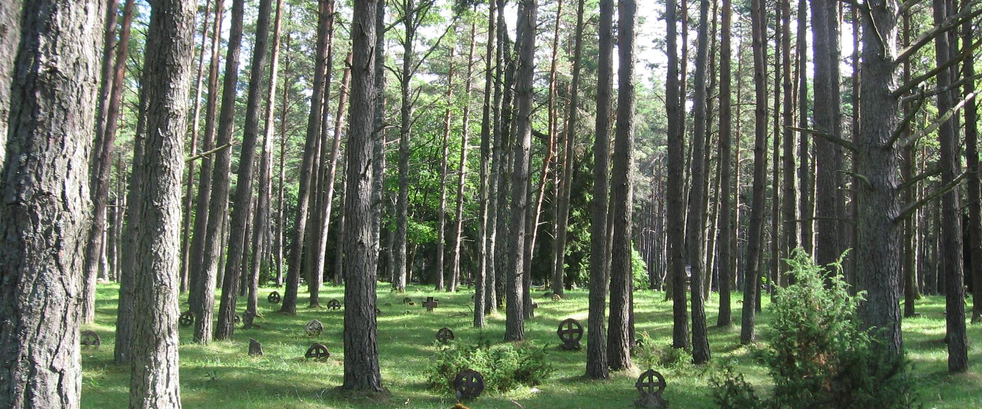 Vormsi Cemetery