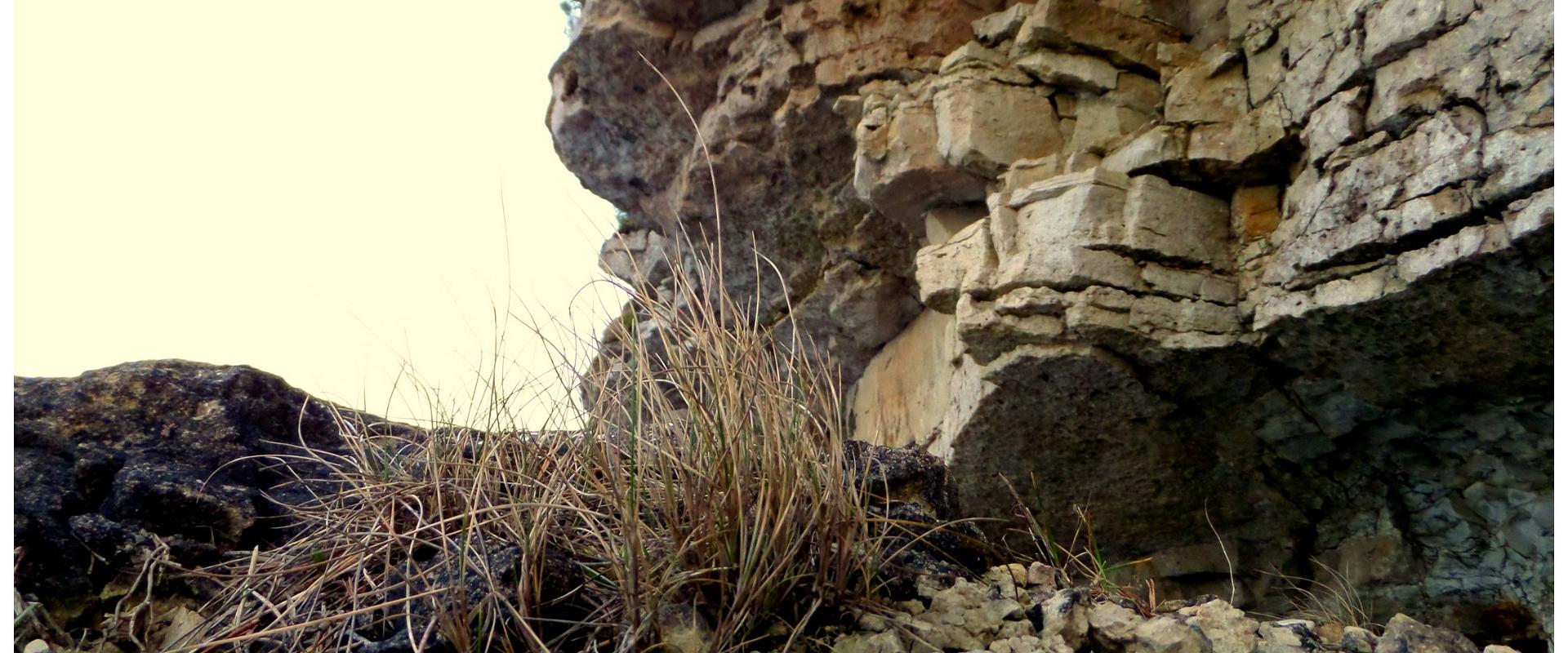 Pulli escarpment (Oiu escarpment)