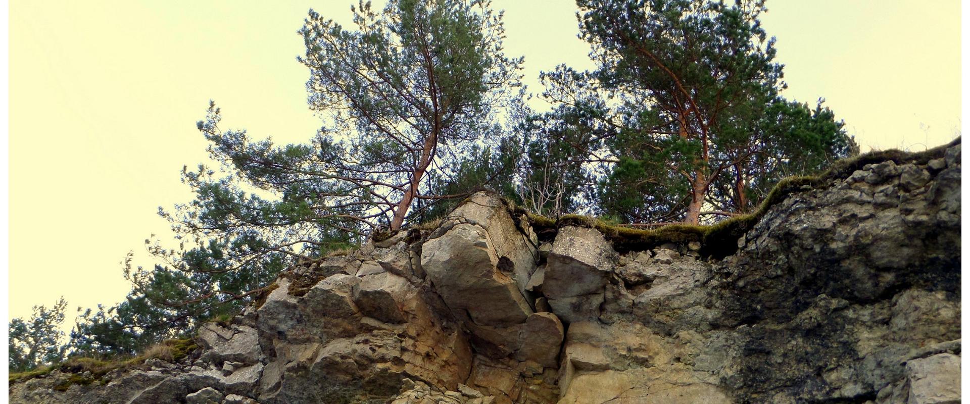 Pulli escarpment (Oiu escarpment)