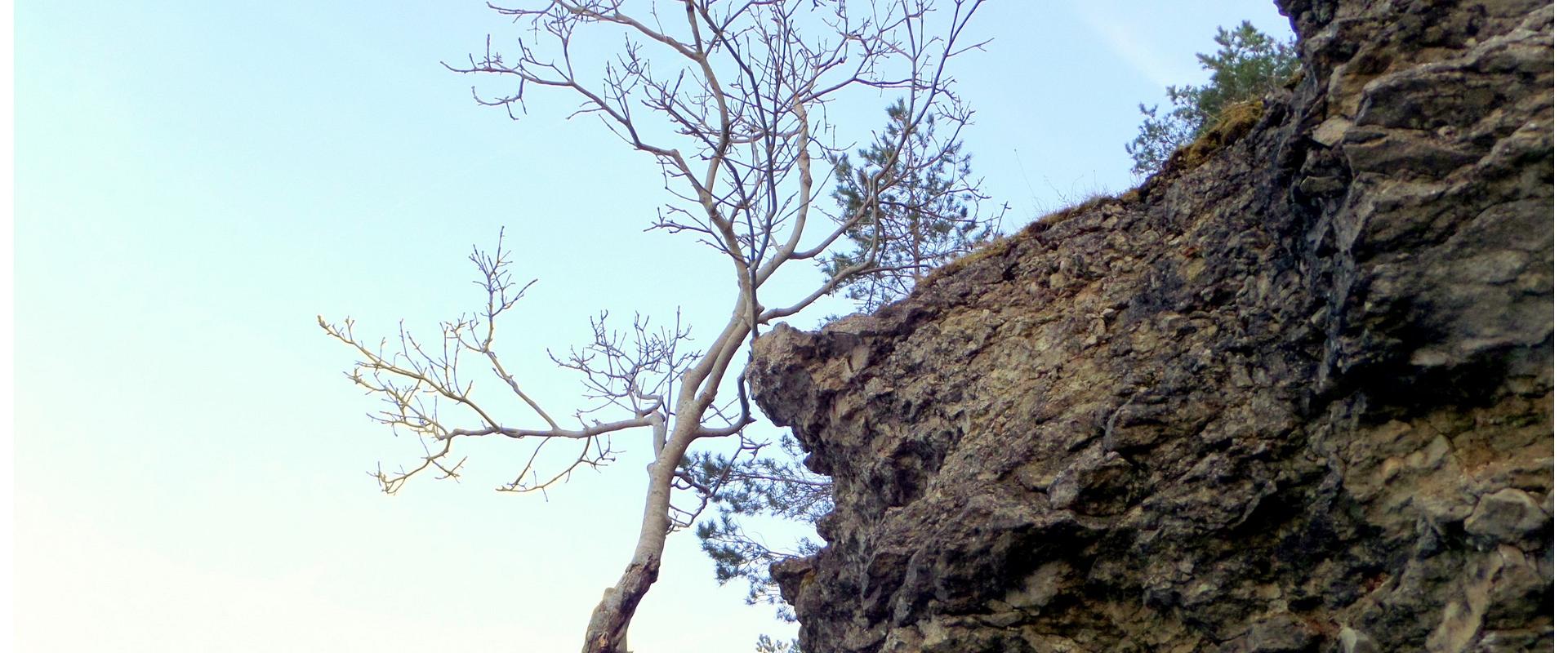 Die Steilküste von Pulli (Oiu)