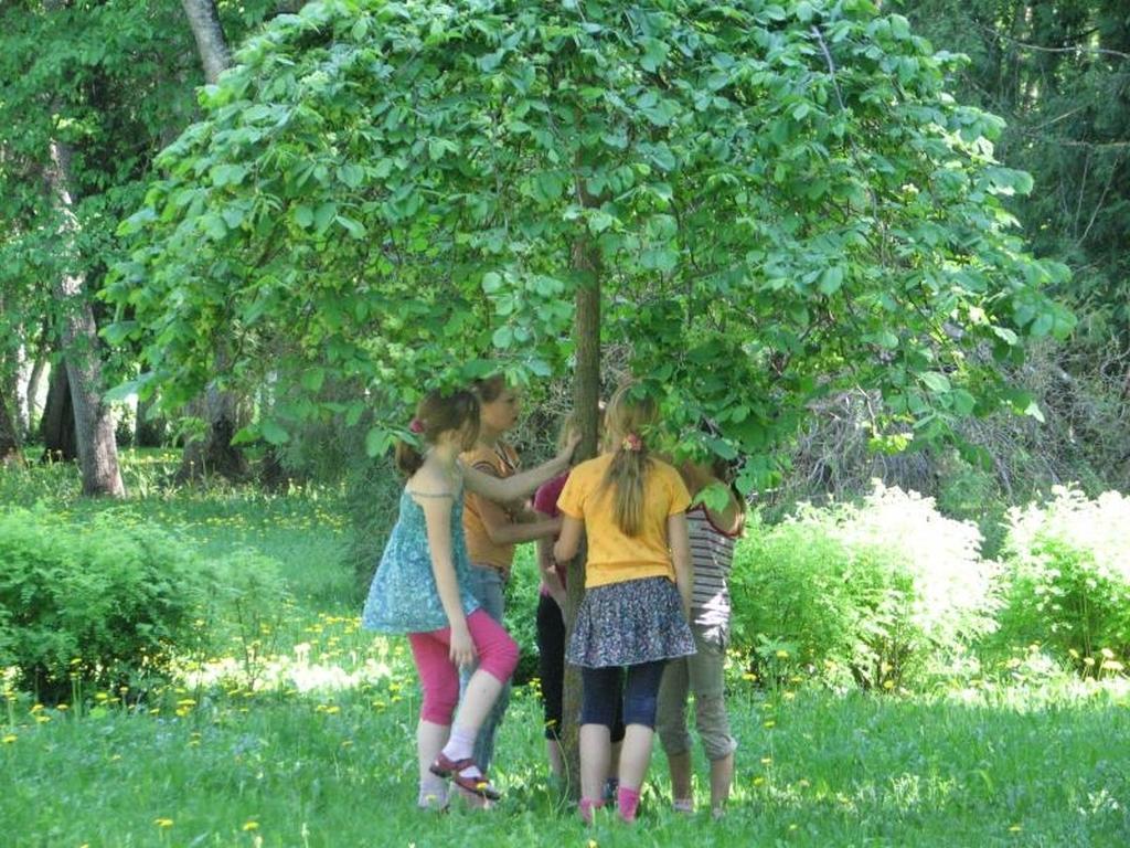 Lukes muiža un muižas parks, bērni parkā zem koka