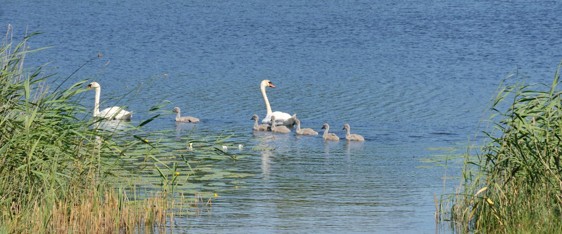 Järve talu puhkemaja