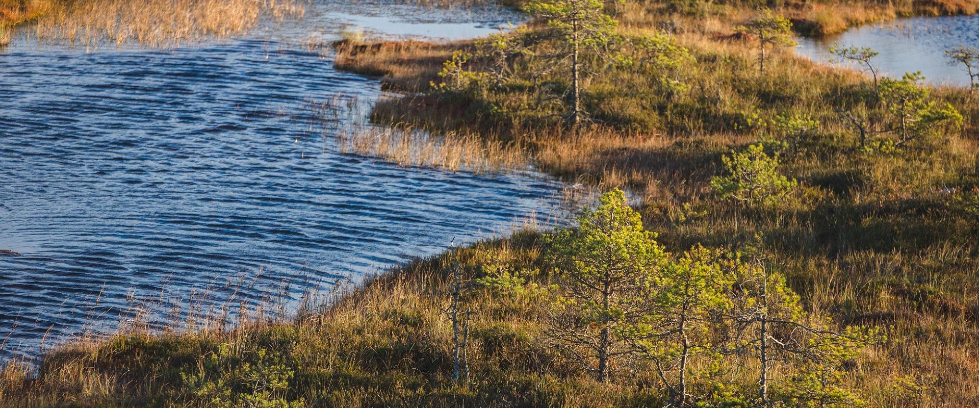 Naturschutzgebiet Endla und Zentrum in Tooma