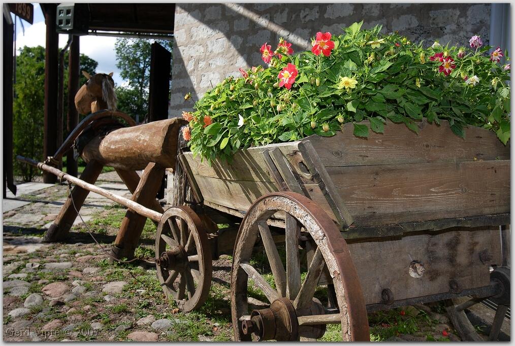 Die Mühle von Saaremaa