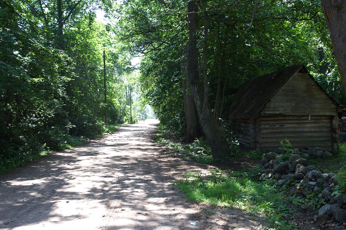 Prangli saare külatee