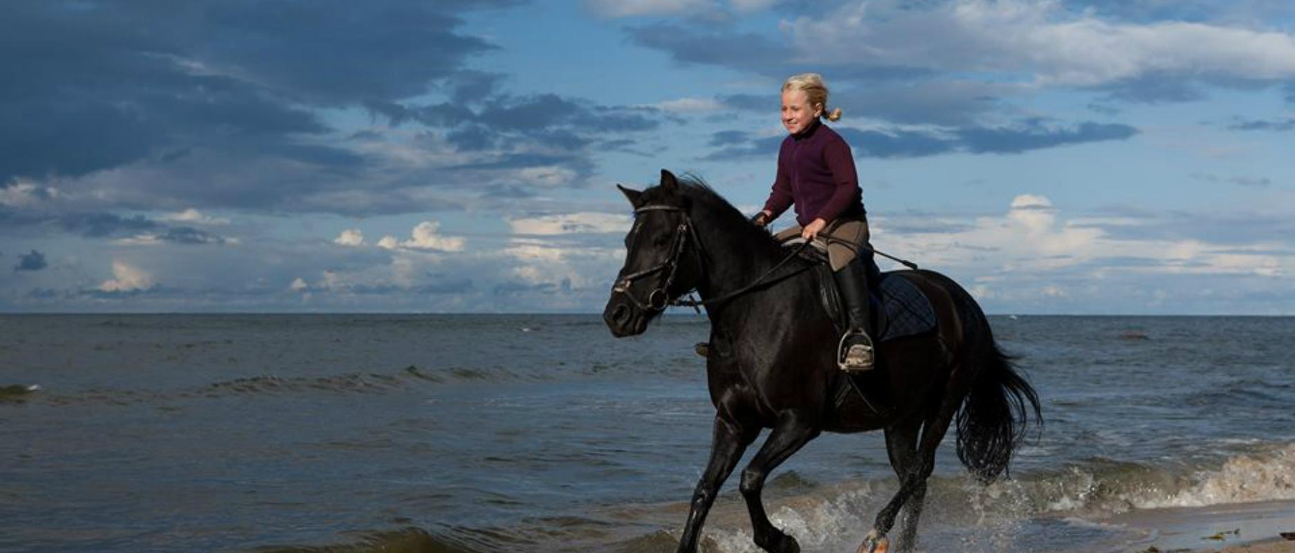 Horseback rides in the wild by Arma Equestrian Farm