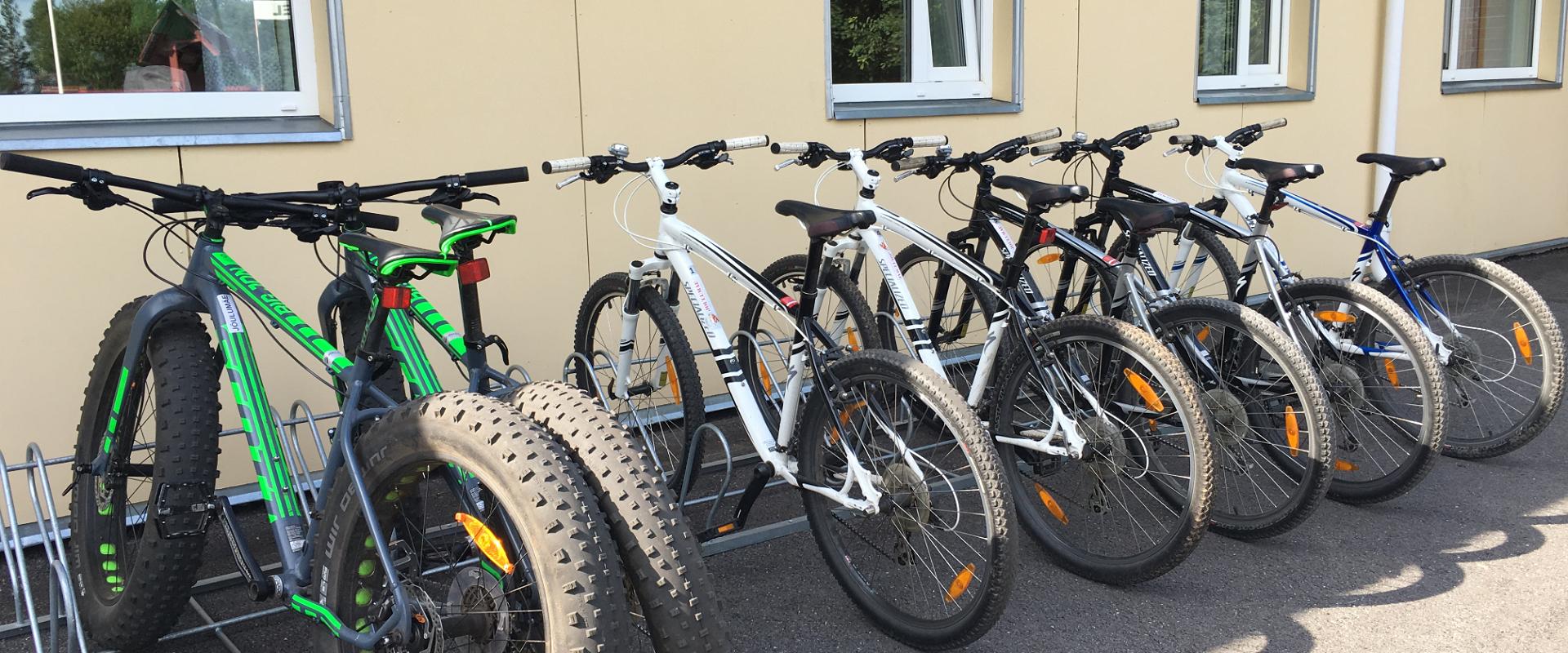 Mountain bike trails in the pine forests of Jõulumäe Sports and Recreation Centre