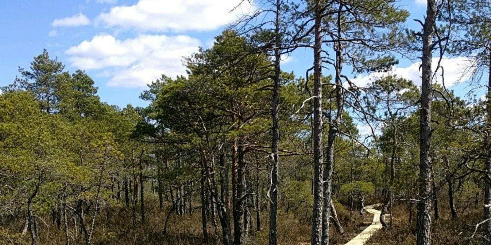Wanderweg des Landschaftsschutzgebiets Väätsa