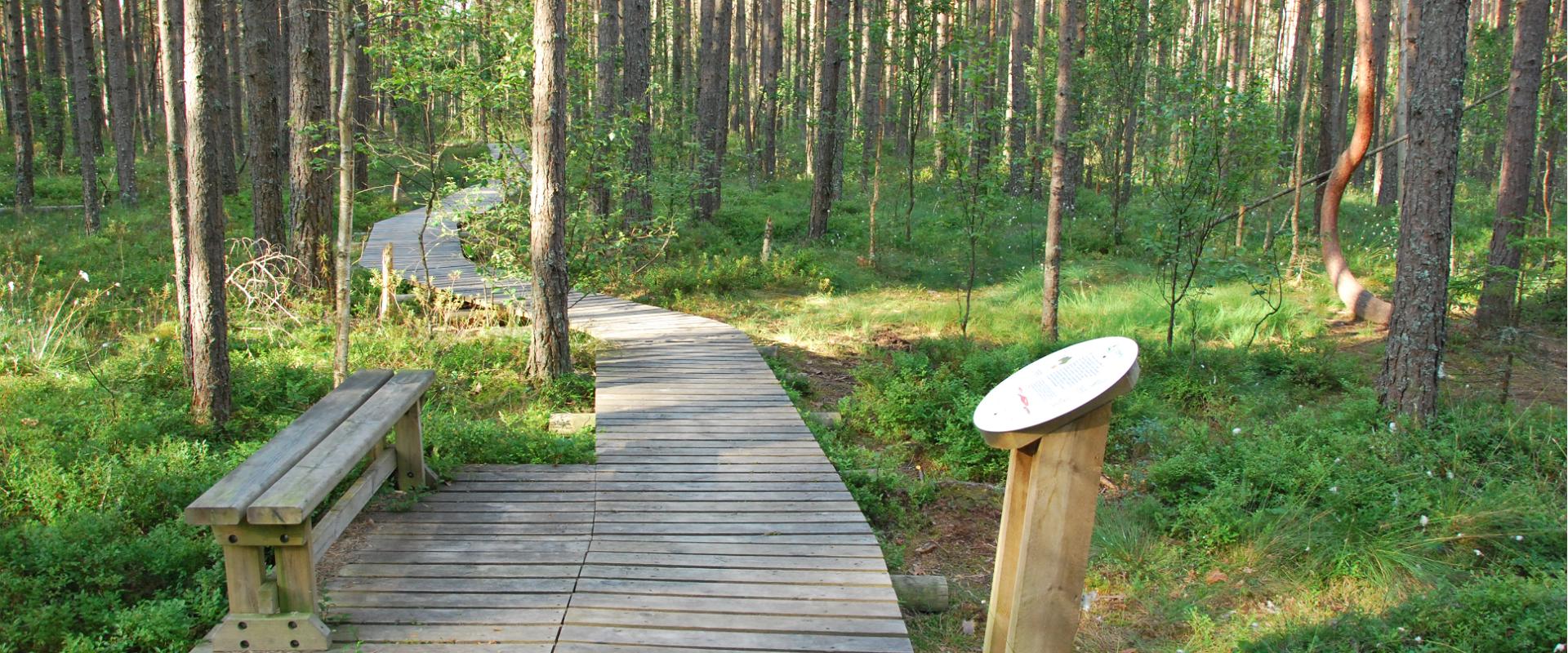 Naturlehrpfad Rannametsa-Tolkuse der Staatlichen Forstverwaltung