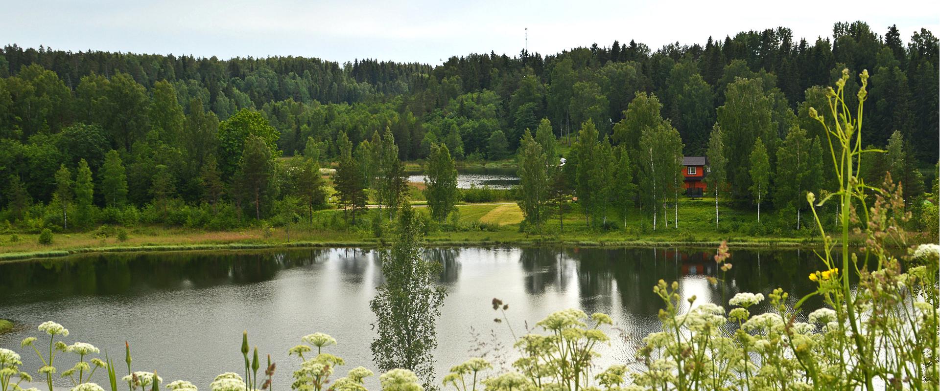 Ööbikuorg valley and Rõuge lakes