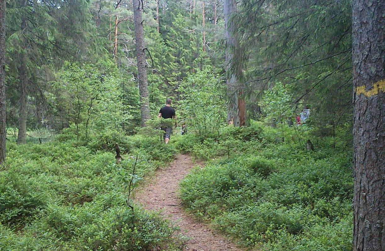 Äntu-Nõmme nature studies trail