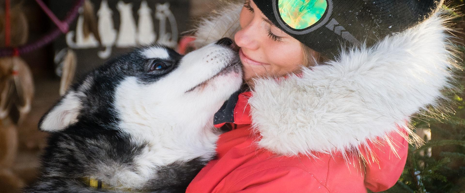 Vetokoirien perhetila Huskypark - odotamme sinua kylään!