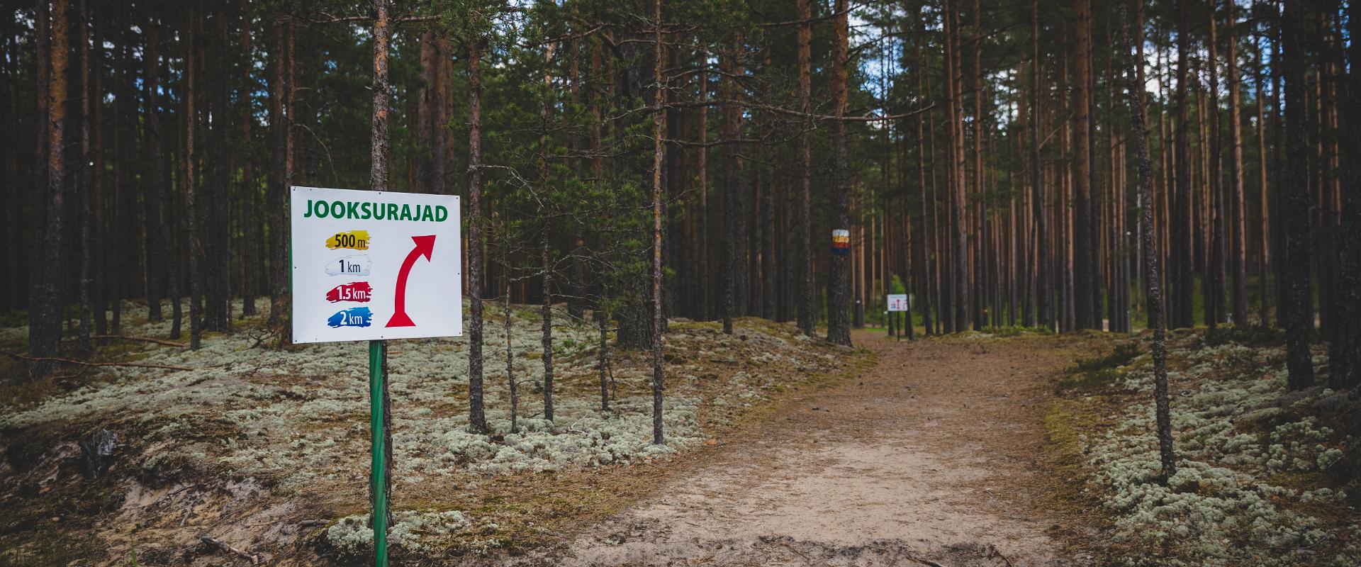 Hiking Trails of Jõulumäe Recreational Sports Centre