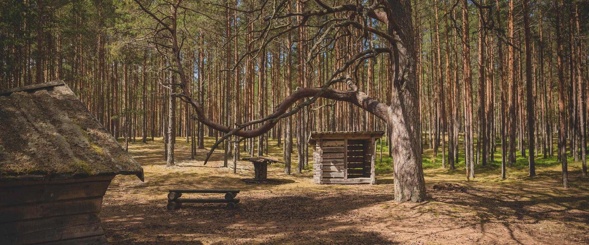 Wanderwege des Freizeitsportzentrums Jõulumäe