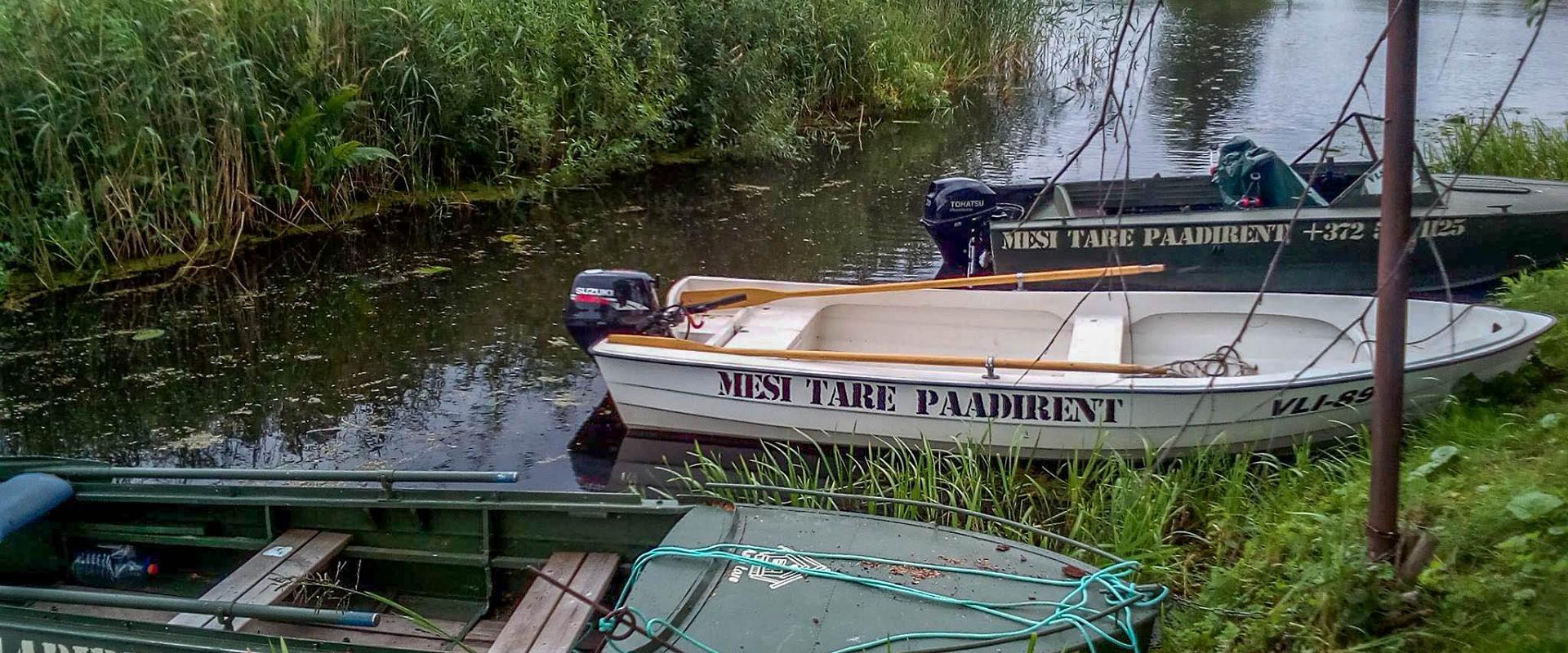 Mesi Tare boat rental in Varnja