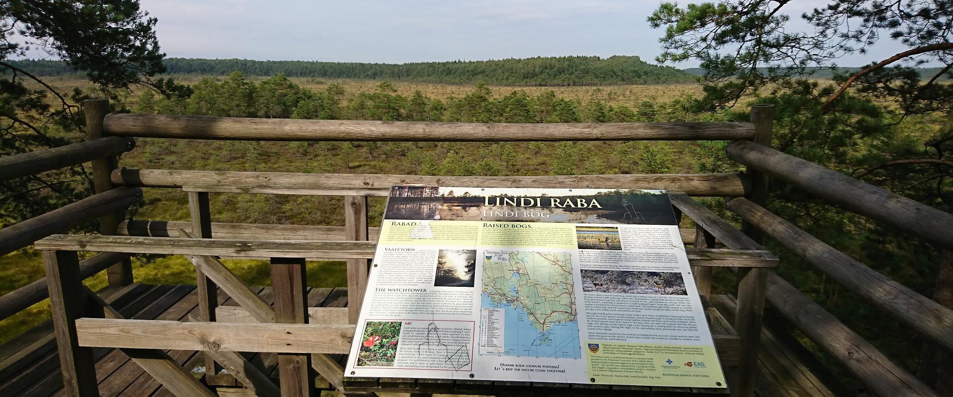 Aussichtsturm auf dem Naturschutzgebiet Lindi