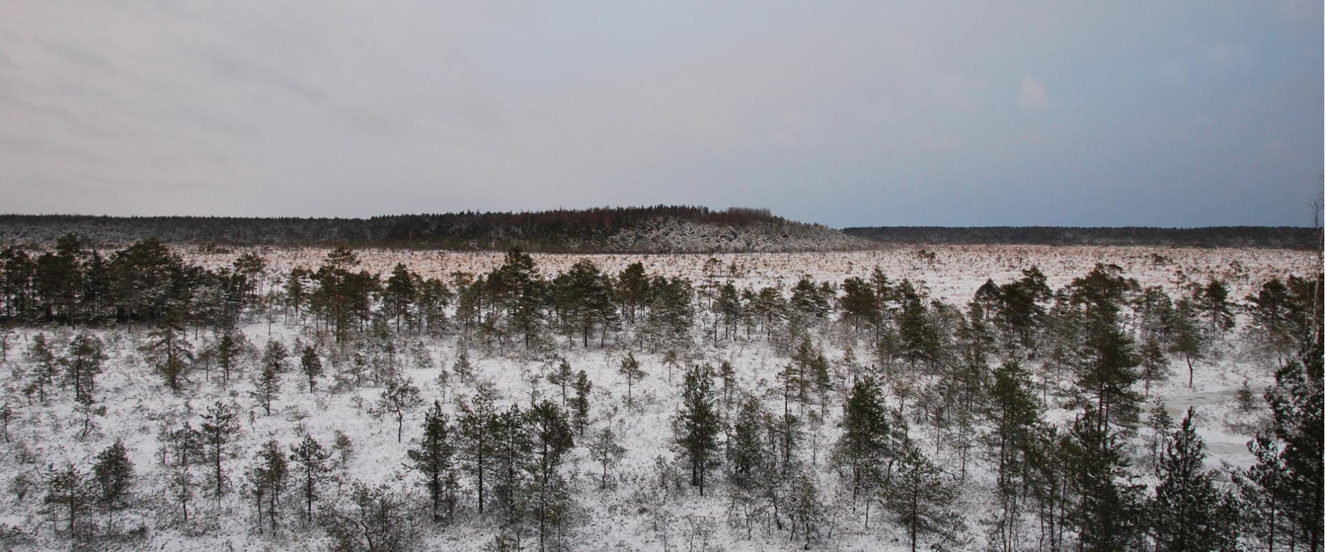 Aussichtsturm auf dem Naturschutzgebiet Lindi