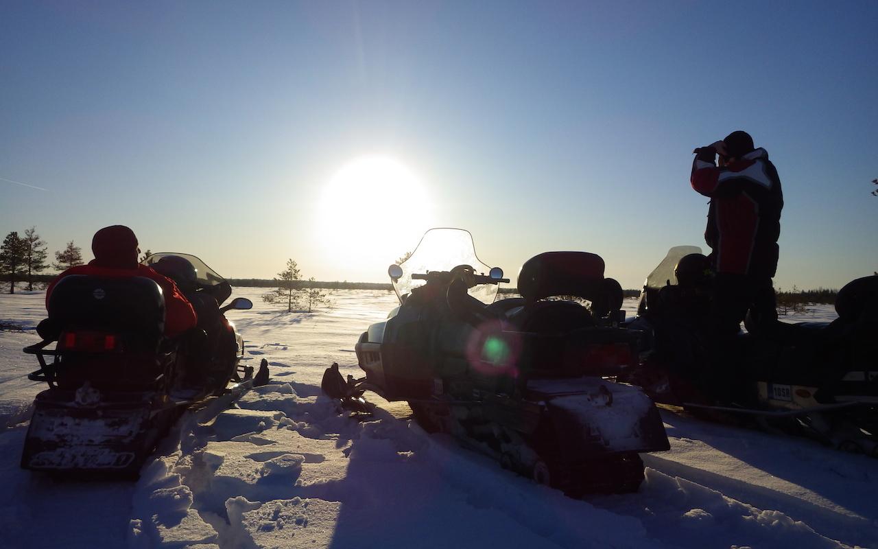 Mootorsaani safari Tallinna lähistel