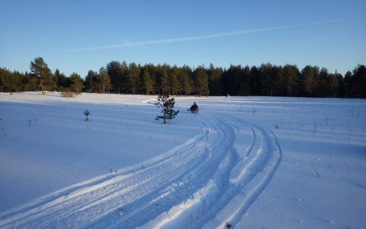 Mootorsaani safari Tallinna lähistel