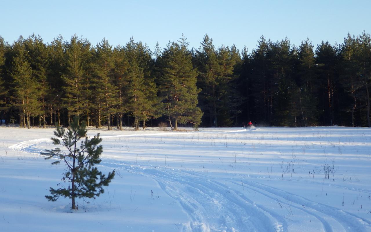 Mootorsaani safari Tallinna lähistel