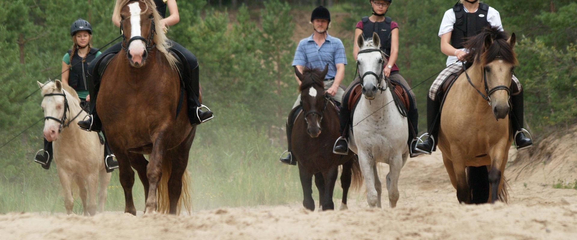 Maria Farm Riding Centre