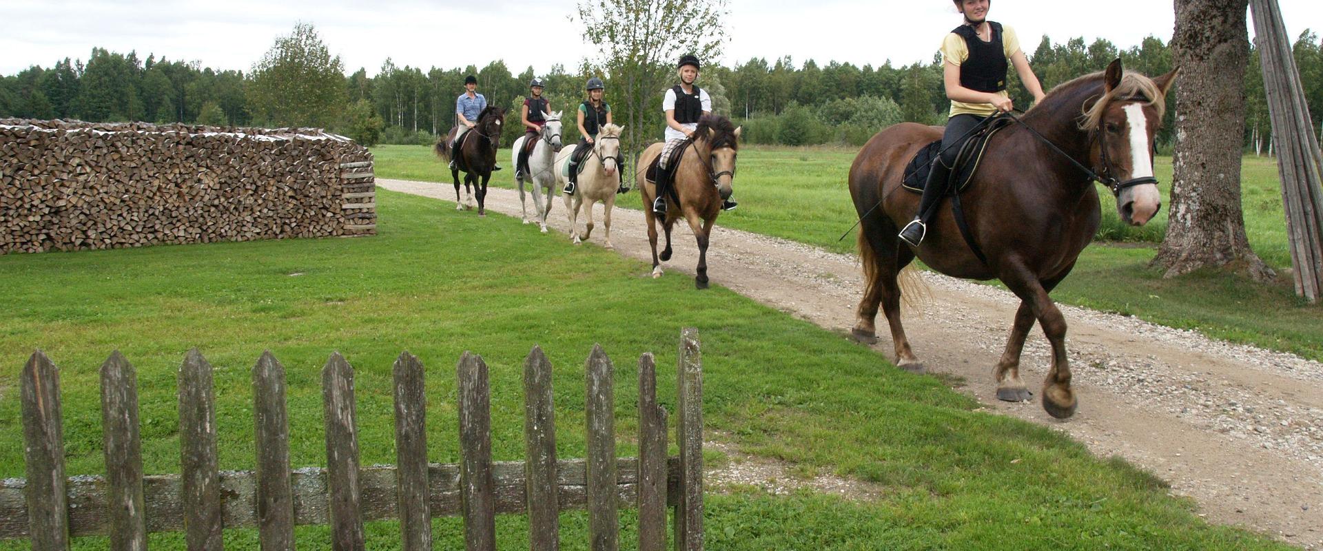 Maria Farm Riding Centre