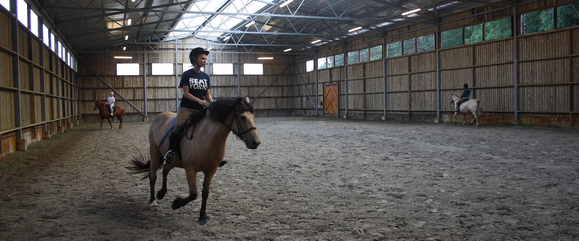 Maria Farm Riding Centre