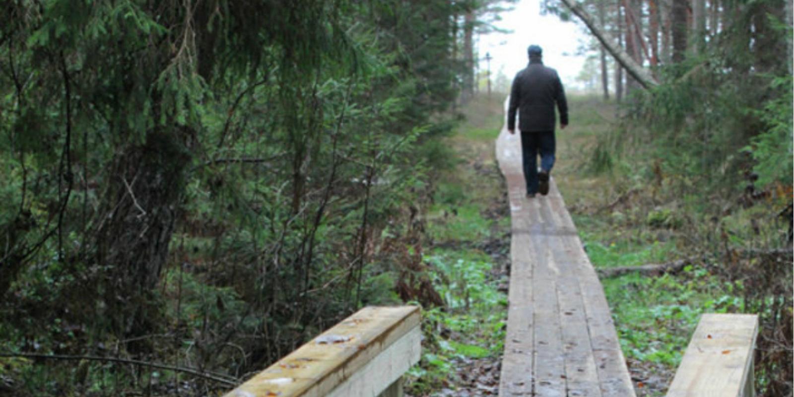 Ebavere nature and hiking trail