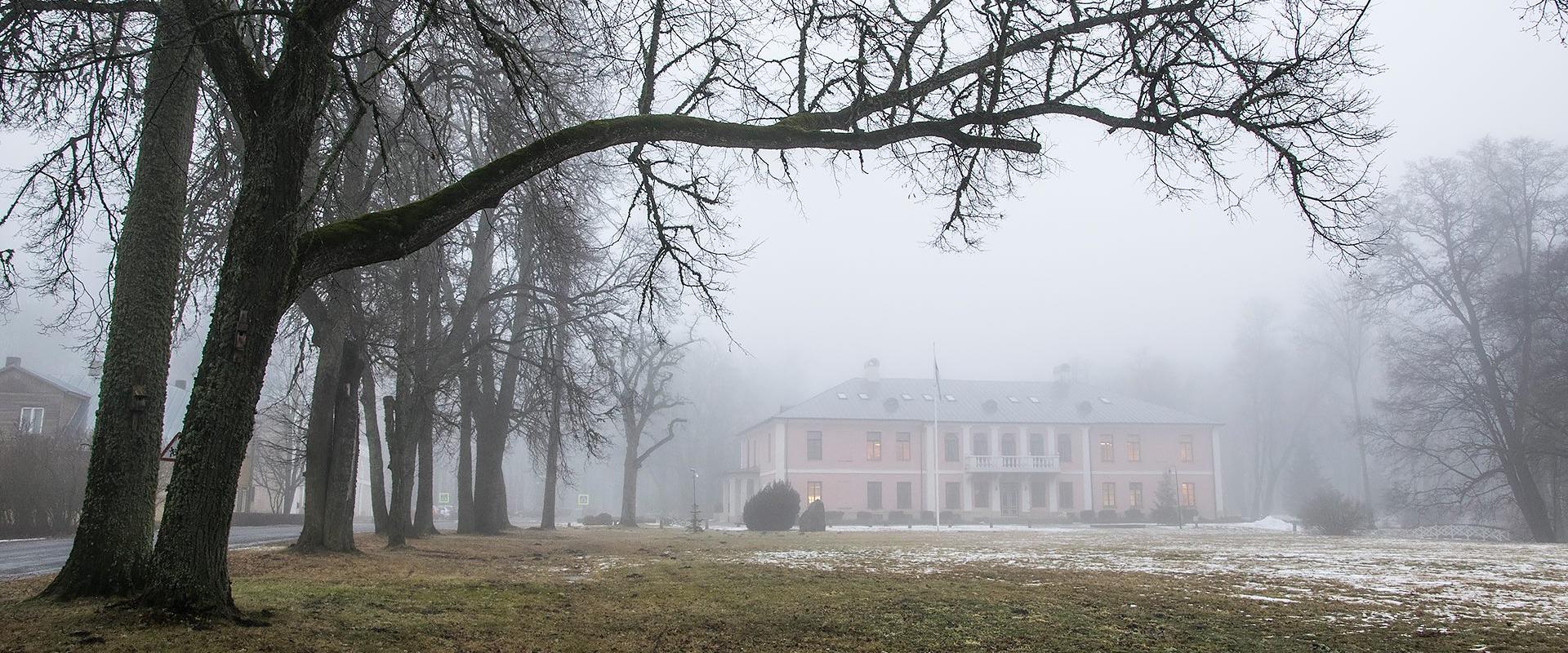 Tõstamaa mõisapark udus