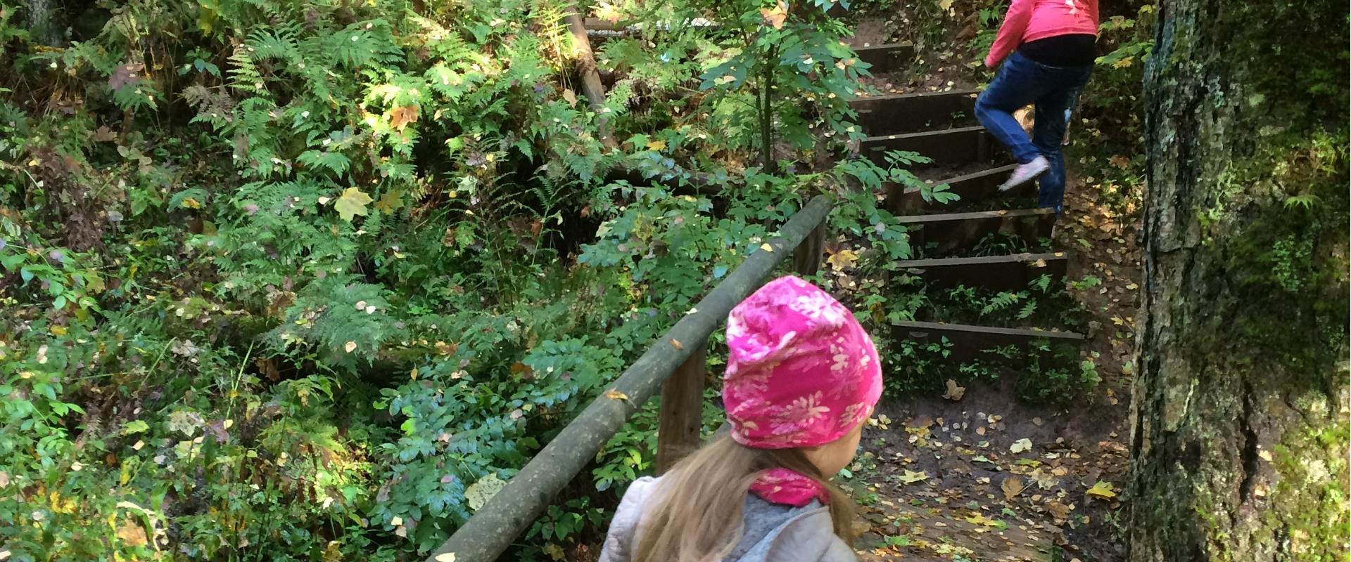 Wanderweg im Urstromtal Loodi