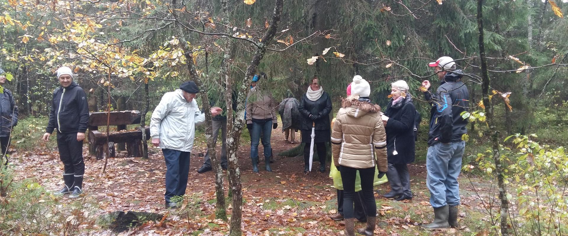 Matkajad pühas tammesalus, sügis 2017