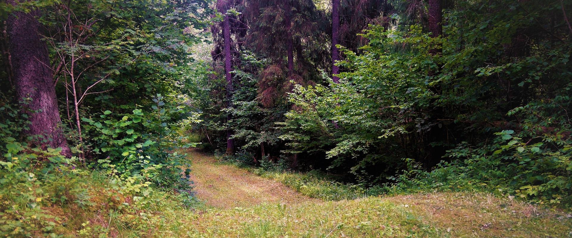 Die Wanderwege und Loipen des Freizeitrums Holstre-Polli