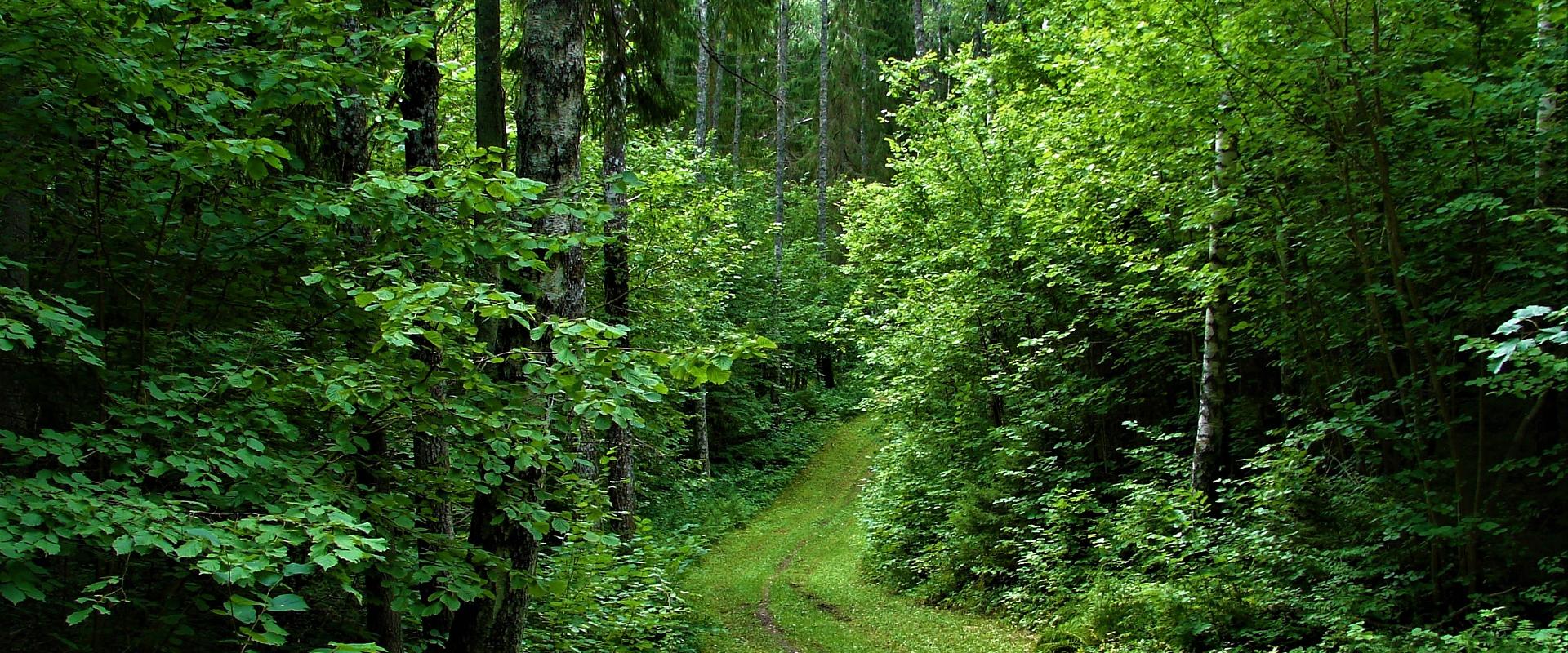 Holstre-Polli Atpūtas centra pārgājienu takas