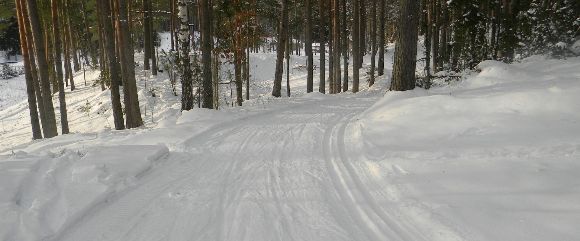 Skiing tracks and a sledge slope at Padise