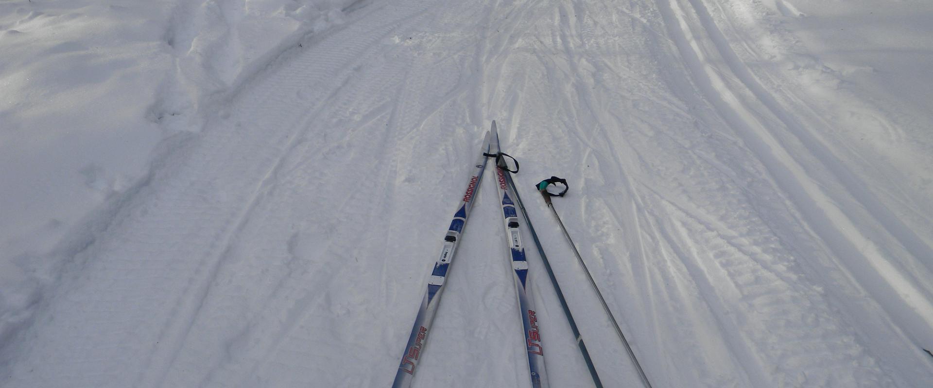 Skiing tracks and a sledge slope at Padise