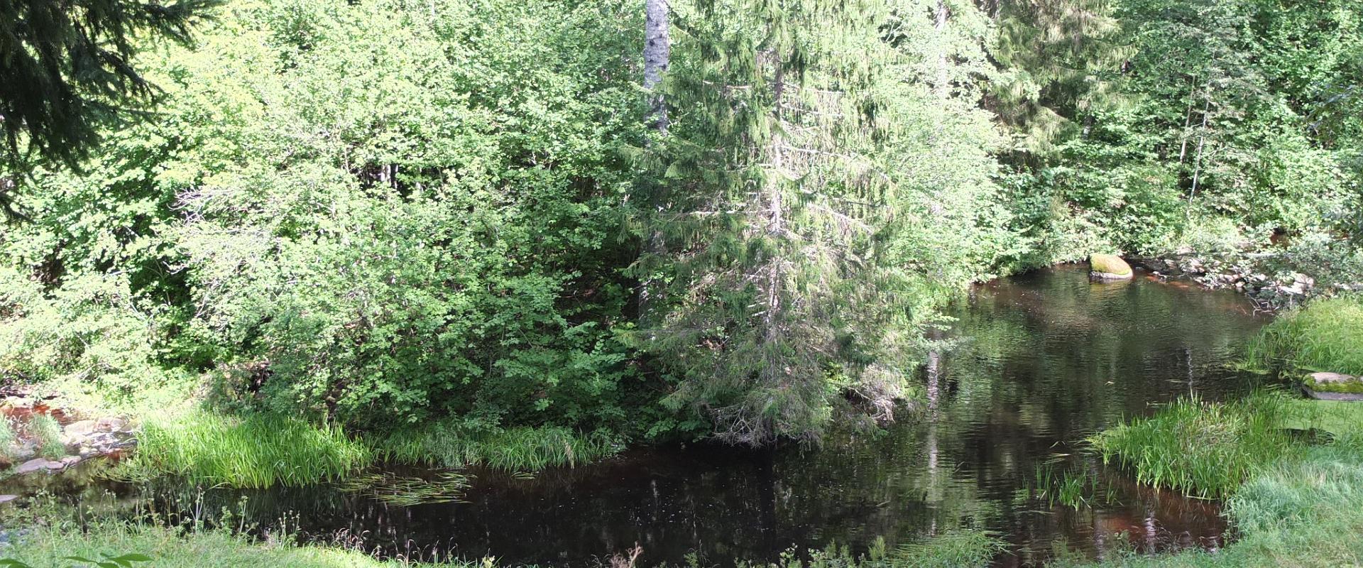 Mäeveere Talu puhkemaja