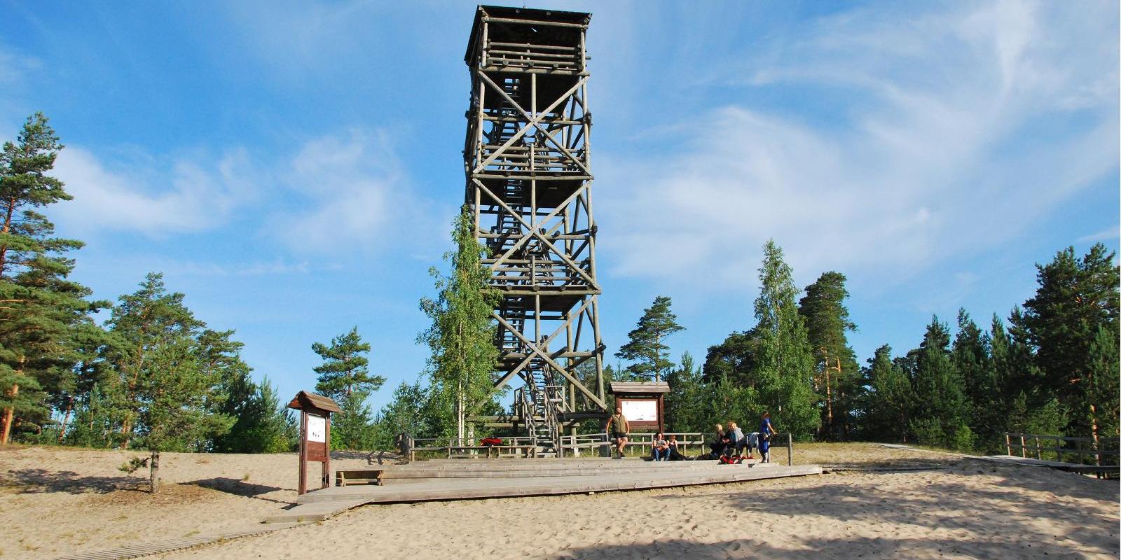 Mountain bike trails in the pine forests of Jõulumäe Sports and Recreation Centre