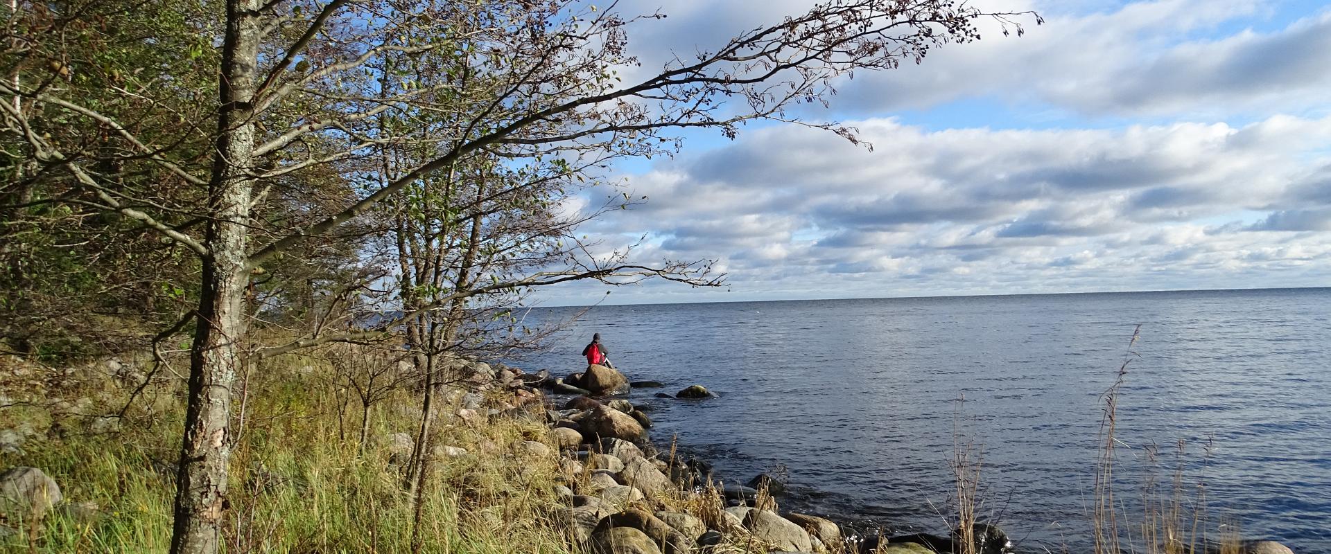 Jalgsirännak Vainupealt Altjale