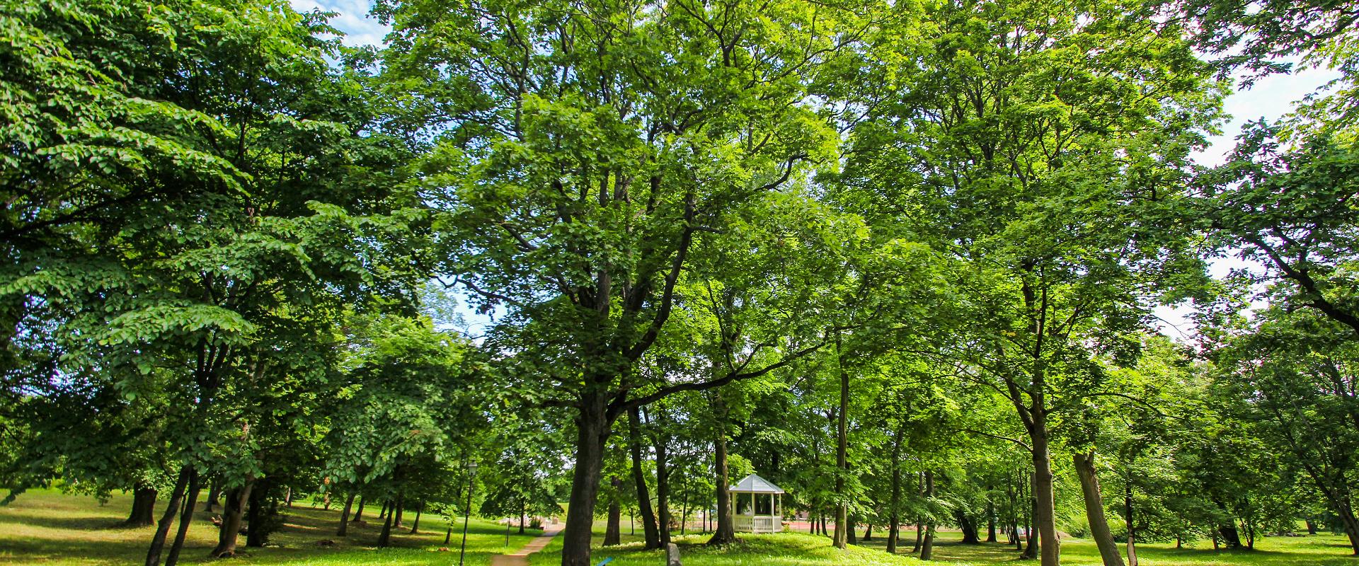 Der Park des Gutshofs Saka und die Exposition der Gesteine