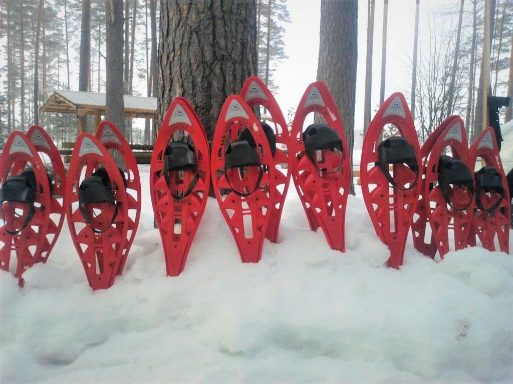 Moorschuhwanderung im Moor Meelva