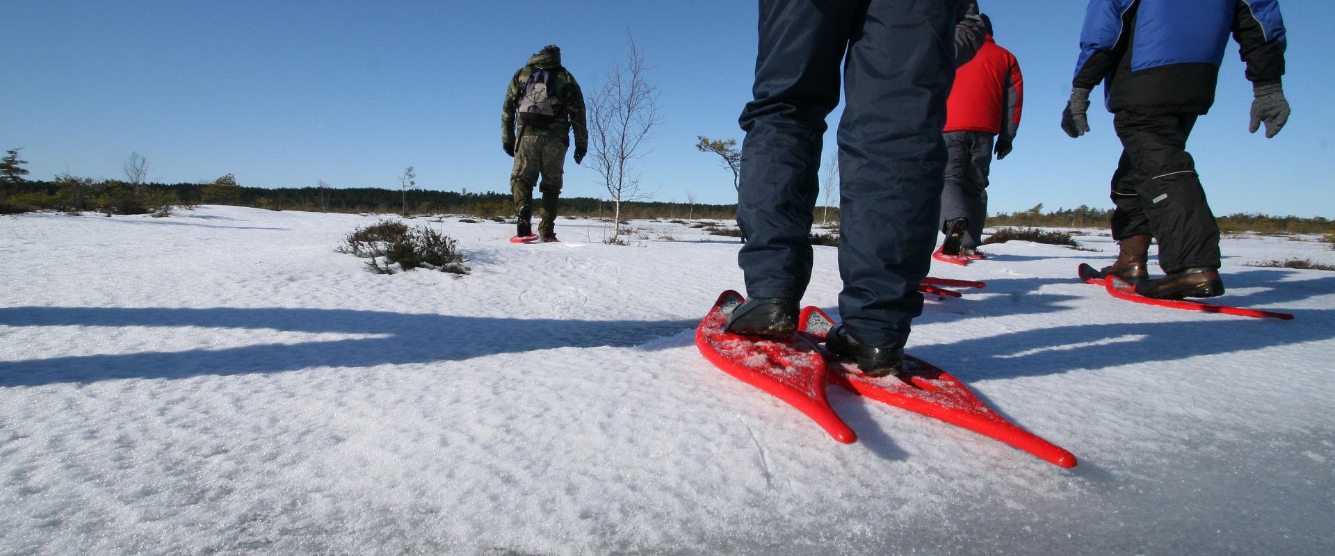 "Seikle Vabaks" pārgājiens ar sniega kurpēm Lindi purvā