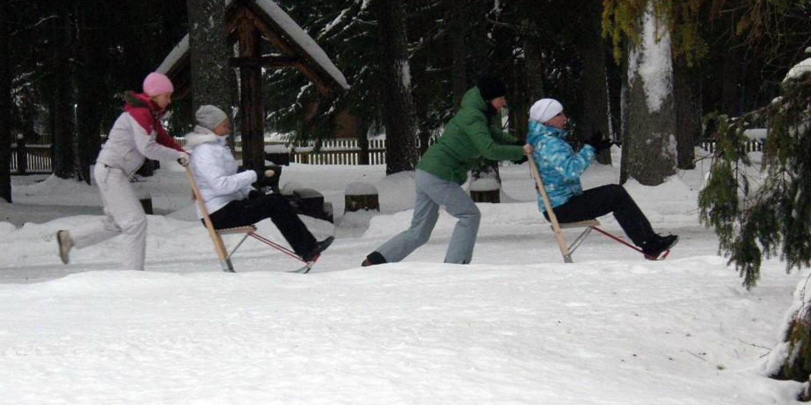 Kick-sled rent at Salamaa in Taevaskoda